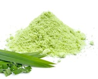 Feuilles de Pandanus vietnamien de qualité supérieure avec ANGLE de prix compétitif