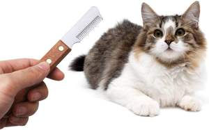 Cuchillo pelador con mango de madera, cuchillo pelador de acero inoxidable personalizado para perros y Mascotas - Product Image 6