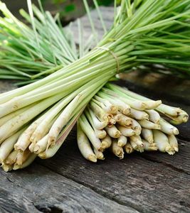 VENTE EN GROS-CITRONELLE PRODUIT du VIETNAM-MEILLEUR PAS CHER au VIETNAM - Product Image 6