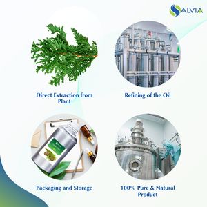 Venta al por mayor a granel 100% aceite esencial de madera de cedro puro embalaje personalizado precio bajo - Product Image 4