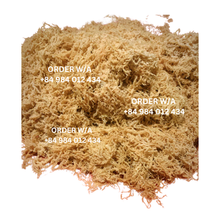 Mousse de mer irlandaise de qualité supérieure, entièrement naturelle, fabriquée à l'état sauvage, à un prix raisonnable pour l'expédition par 2024 - Product Image 2