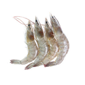 Camarones Tigre Congelados al por Mayor a Bajo Precio, para Ofertas al por Mayor y Envío Rápido - Product Image 3