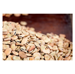 Egypt Origin Premium Grade Kidney and Fava <b>Beans</b> Good Quality Whole Split <b>for</b> Sale Competitive Price Bulk Packaging Exporter - Product Image 1