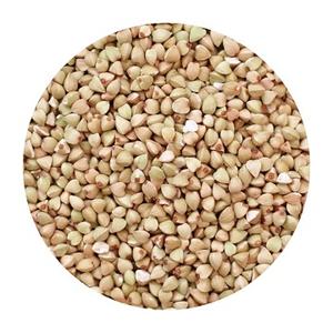 Meilleur fournisseur de qualité Sarrasin rôti à vendre à bas prix - Product Image 1