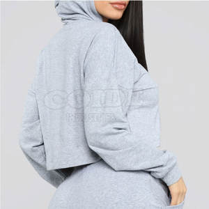 Sudadera con capucha y Top corto con logotipo personalizado, sudaderas de alta calidad, sudadera con Top corto para mujer, nuevo estilo 2025, ropa informal OEM ODM - Product Image 5