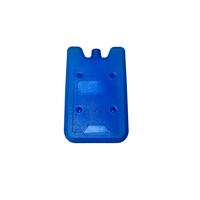 Bloc de glace réutilisable en plastique de qualité alimentaire bleu de 500 ml moulé par soufflage personnalisé au Vietnam