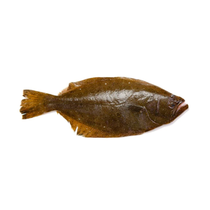 Halibut Congelado Fresco de Alta Calidad a Bajo Precio - Product Image 1