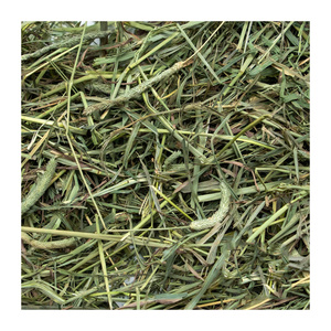 Higher Protein Alfalfa Hay/Timothy Hay en venta - Product Image 3