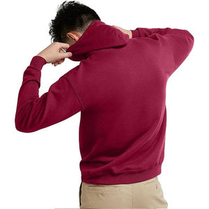 Custom Regular Fit Sudadera con capucha de invierno 2025 Moda Streetwear 100% Algodón Hombres Mujeres Gimnasio Boutique OEM Fábrica Suministro al por mayor - Product Image 2