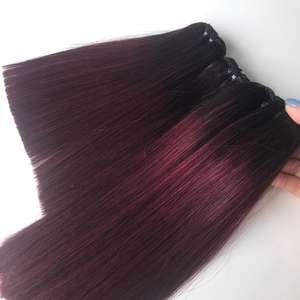 SDD Bone Straight Dark <b>Burgundy</b> Color 100% Vietnamese Human Hair Extensions Human Hair Wig - Product Image 3