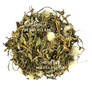 Hojas de diente de león a base de hierbas de calidad más vendida de Vietnam Fruta seca a granel conservada natural para la salud - Product Image 3