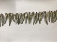 100% petits anchois séchés naturels poisson fruits de mer célèbres du Vietnam forme de pièce conservée au sel/Mme Lima