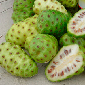 Venta al por Mayor Buen Precio Fruta de Noni Congelada Entrega Rápida Sra. Sophie - Product Image 3