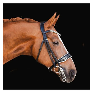 Uy Lumiere questrian rideline uxury eaeath riridle rior Horse plegado - Product Image 4