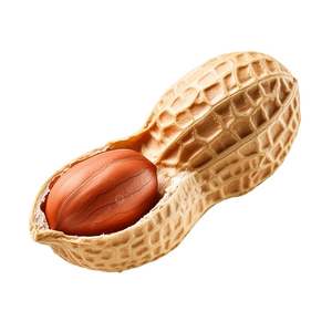 ขนมอบแห้งถั่วลิสงเค็มขนาดใหญ่บรรจุภัณฑ์บรรจุกระป๋องจากจีน - Product Image 6