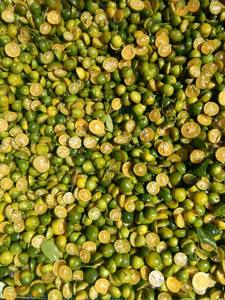 LAS MEJORES BEBIDAS para el caluroso verano DE VIETNAM - KUMQUAT JUICE FROZEN-adecuado para relajarse y refrescarse EN VERANO - Product Image 2