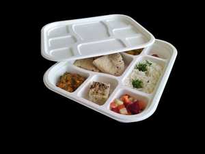 Assiette jetable en bagasse biodégradable GNE-9CP de luxe à 9 compartiments, design divisé pour - Product Image 3