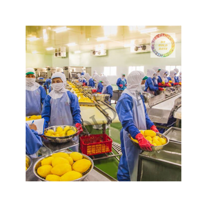 Cubos de mango congelado Calidad de exportación 2025 Recién cosechado Adecuado para compradores mayoristas globales - Product Image 5