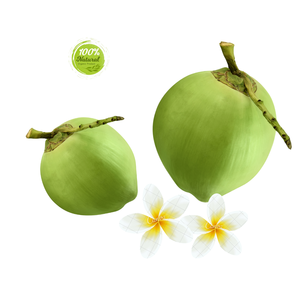 Refresque sus batidos con cocos jóvenes Ingrediente agrícola fresco - Product Image 1
