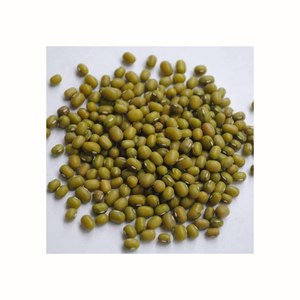 Frijoles Mung verdes pelados orgánicos/Dhal Fresh 2021 cultivo directo de China - Product Image 5
