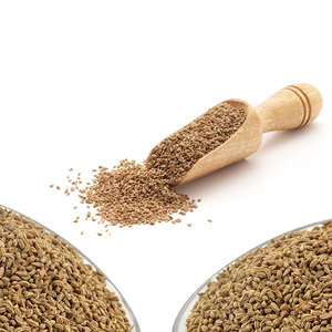 Carambole (Ajwain) | Usage culinaire | Premium Herb - Product Image 1