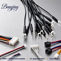 Kabel Harness Terminal Konektor Tembaga Kustom Kompatibel JST Molex, Perakitan Kabel Multi Cabang, Tembaga Elektronik