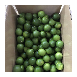 Tiêu chuẩn xuất khẩu tươi Lime/Chanh hạt giống/Việt Nam citrus 100% tự nhiên với chất lượng cao cấp và chua hương vị - Product Image 5