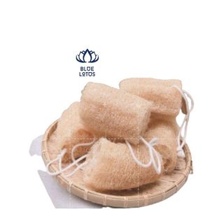 ใยบวบ - Product Image 1