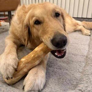 Interactive <b>Dog</b> Toy Pet Made from Natural Durable Real Wood Bone <b>Sticks</b>, Supports Chewing Habit and Relieves Boredom and Anxiety - Product Image 2