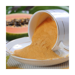 Poudre de fruit de papaye séchée par pulvérisation 100% naturelle de qualité supérieure, best-seller, prix compétitif, fabriquée en Inde, Herbojit - Product Image 4