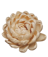 Sola Wood Flower diffuseur de roseau Parfum d'ambiance Fait à la main Sola Flower Echo Friendly Sola Flower Natural to aérer Freshen Reed