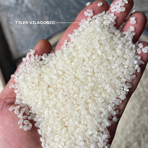 Arroz Japonica de Vietnam | Calidad constante | Proveedor de exportación a granel en todo el mundo por Tyler Food - Product Image 2