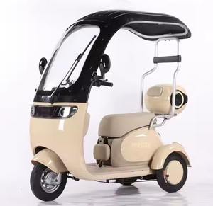 ¡GRAN OFERTA! Triciclos Eléctricos Deportivos de Tres Ruedas para Operador, Fabricados por [Nombre del Fabricante] - Product Image 1