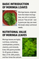 10:1 20:1 50:1 extrait de feuille de Moringa de qualité alimentaire concentré exhausteurs de nutrition additif de poudre verte de plante naturelle 25kg