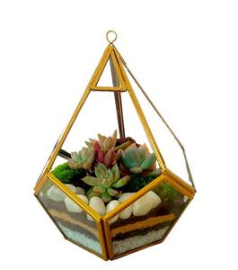 Premium Quality Tabletop Glass & Metal Geometric <b>Terrarium</b> for Flower Display and Table Decoration Usage Perfect For <b>Gift</b> Ideas - Product Image 2