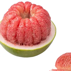 越南最畅销的柚子出口公司，质量最好的索菲