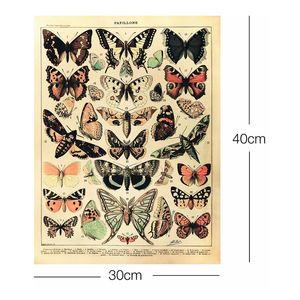 Impresión artística de Papillons de Adolphe Millot, diseño de naturaleza muerta en papel - Product Image 4