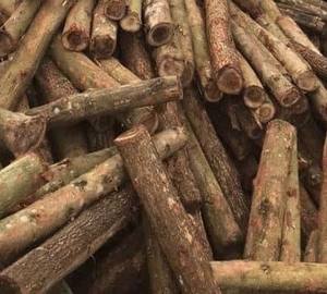 Vietnamese Common Wooden Piles for <b>Garden</b> <b>Decoration</b> and Accessories - Product Image 2