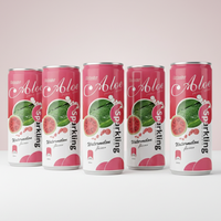 Sprankelende Watermeloensap 330ml blik OEM/ODM groothandel koolzuurhoudende verfrissende echte fruitsoda kant-en-klaar zomerdrank