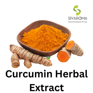 Hot Selling Curcumin Dry Extract Powder Herbal Extract Cosmetic Use Bottle Packaging Wholesale Price - Product Image 4