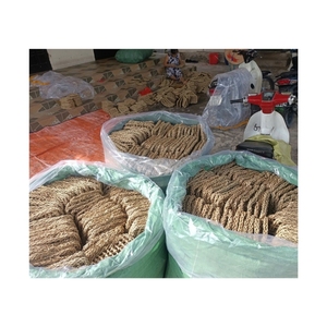 Hamaca de Pasto Marino de Primera Calidad, Perfecta para el Hábitat de Dragones Barbudos y Área de Ejercicio para Lagartos, Plataforma Resistente para Descansar - Product Image 2