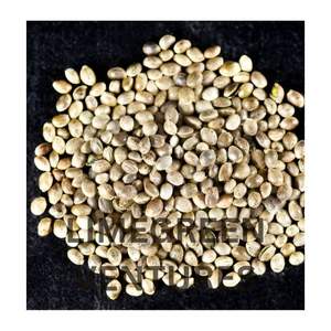 Semillas y corazones de cáñamo orgánico crudo de doble lengua, proveedor a granel, superalimento de alta proteína, potenciador de la salud, 12 meses de vida útil - Product Image 5