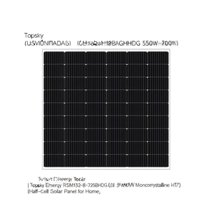 Panneau solaire monocristallin HJT à demi-cellules Topsky Energy RSM132-8-725BHDG 550W-700W pour la maison - Product Image 2