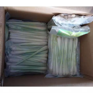 Meilleure citronnelle fraîche congelée et hachée Bevroren Citroengras Gehakt culture asiatique sans OGM purée de citronnelle 0084935825297WA - Product Image 4