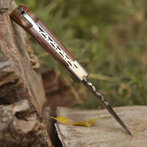 Couteau pliant en acier damas professionnel en plein air petit couteau de poche pliant en gros 2025 nouveau Design couteau de Camping en plein air - Product Image 3