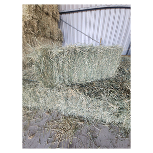 Distribución a granel de heno de pasto de alta calidad, envío rápido a bajo costo listo para la exportación - Product Image 6