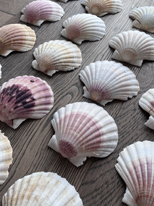 Coquille de pétoncle utilisée pour les paramètres de buffet d'affichage des aliments Exigences de restauration et d'emballage de cadeaux d'événement - Product Image 5