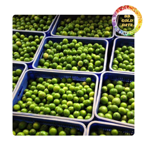 มะนาวแช่แข็งและสด | ไม่มีเมล็ดและฉ่ำ | จากเวียดนาม - Product Image 1