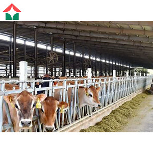 Bò đổ trang trại đổ đúc sẵn gia súc Nhật Ký nông nghiệp Barn bò Nhà chứa máy bay đổ Kết Cấu Thép - Product Image 4