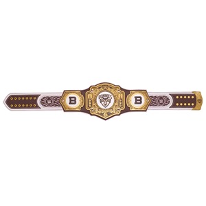 Wwe World Heavyweight Championship Title Belt World Heavyweight Championship Big Gold Wrestling Belt Tamaño 4Mm Adulto Wwe Ronpex - Product Image 6